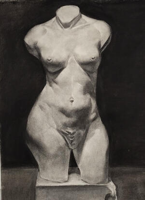 Torso - 2022